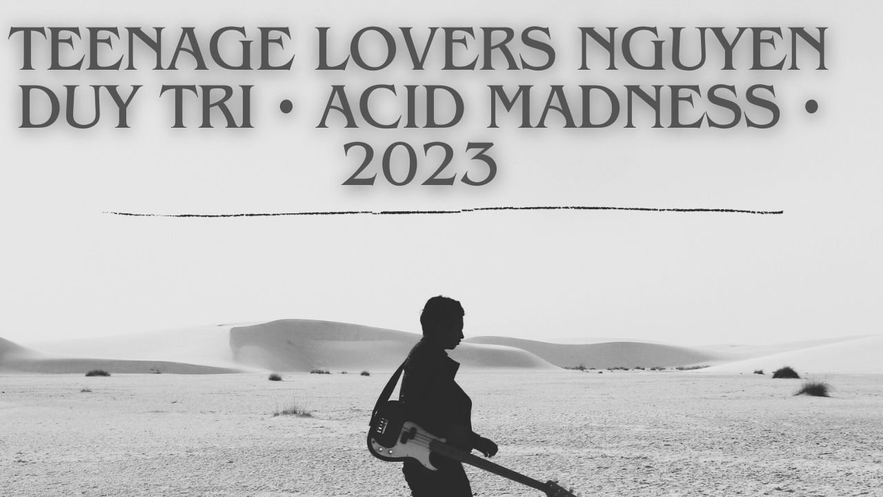 Teenage Lovers Nguyen Duy Tri • Acid Madness • 2023