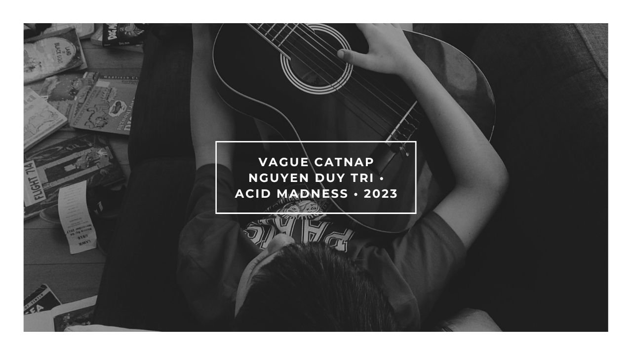 Vague Catnap Nguyen Duy Tri • Acid Madness • 2023
